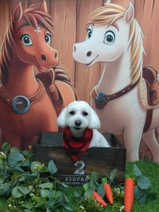 20251121_115452_copy_1919x2559