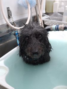 20251121_125939_copy_1986x2648