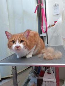 20251121_142830_copy_1944x2592