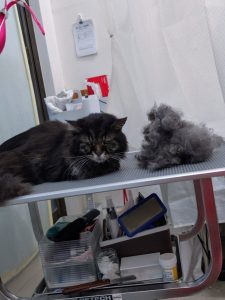 20251121_145949~2_copy_1962x2616