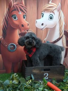 20251121_162247_copy_1908x2544