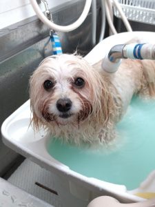 20251121_164959_copy_1944x2592