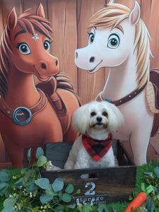 20251121_184259_copy_1983x2644