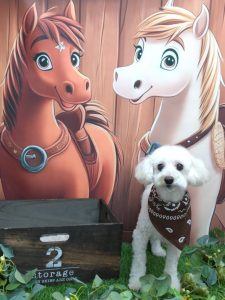 20251122_114043_copy_2020x2695