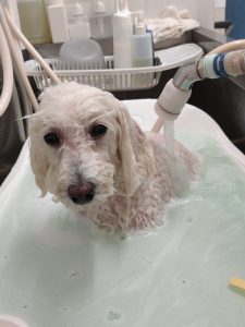 20251122_124719_copy_2036x2714