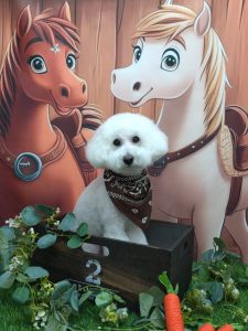 20251122_151628_copy_1861x2481