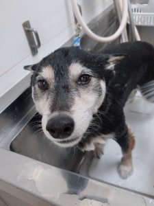 20251122_155559_copy_2398x3197