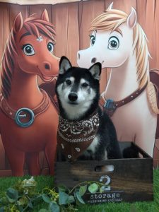 20251122_163911(1)_copy_1920x2560