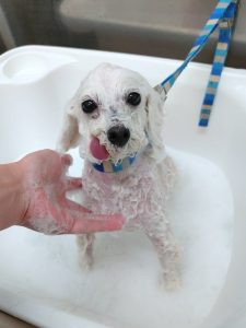 20251122_171910(1)_copy_2700x3600_1