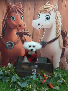 20251122_191625_copy_1898x2530