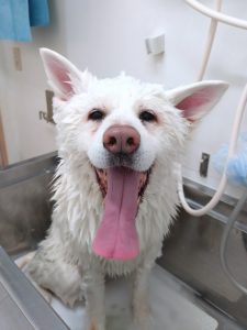 20251125_105125_copy_2695x3593_1