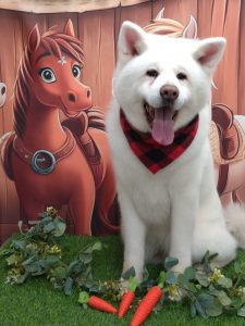 20251125_123129_copy_1722x2298