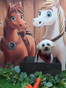 20251125_154306_copy_1919x2557