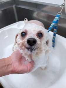 20251125_162850_copy_2818x3758