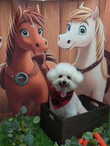 20251125_180506(1)_copy_2091x2788