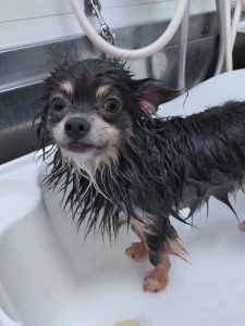 20251125_184453_copy_2854x3805