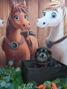 20251125_190300_copy_1962x2616