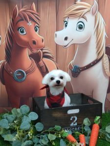 20251127_120120_copy_1934x2579