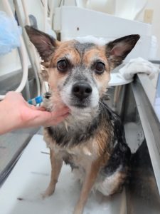 20251127_130023_copy_2800x3733_1