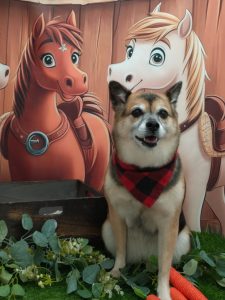 20251127_135335_copy_1944x2594