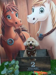 20251127_164404_copy_1944x2592