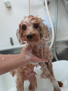 20251127_173752_copy_2281x3040