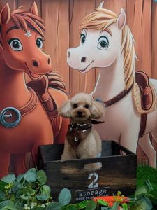 20251127_185558~2_copy_1850x2465_1