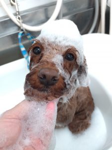 20251128_094221_copy_3291x4388