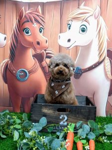 20251128_122741~2_copy_1671x2228