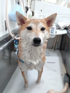 20251128_124604_copy_2610x3481_1