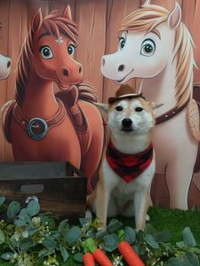 20251128_134522_copy_1926x2568