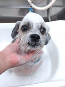 20251128_143812_copy_2632x3509