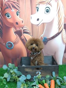 20251128_183558_copy_1881x2508