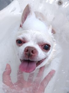 20251129_092323_copy_2354x3139