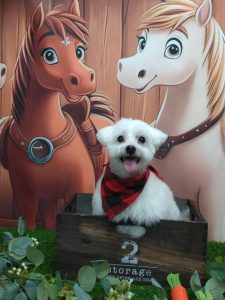 20251129_130259_copy_2002x2671