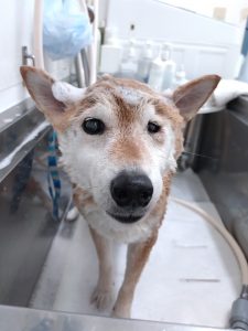 20251129_142334_copy_2867x3822