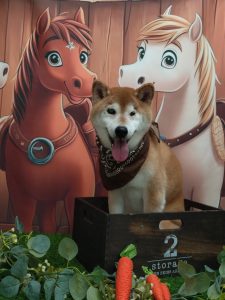 20251129_152118_copy_1960x2612