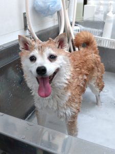 20251129_155032_copy_1876x2502