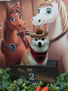 20251129_165107_copy_1854x2472