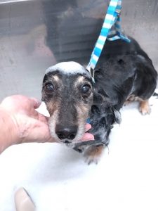 20251129_171138_copy_2489x3319_1