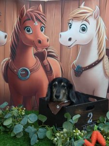 20251129_175643_copy_1930x2573