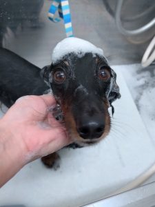 20251129_180338_copy_2596x3462