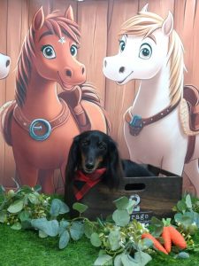 20251129_184539_copy_1863x2485