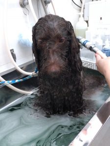 20251201_105756_copy_2112x2817