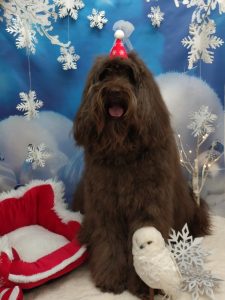 20251201_130325_copy_2046x2727