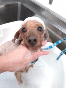 20251201_134857_copy_2715x3621