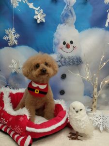 20251201_161843(1)_copy_2065x2756