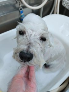 20251201_164239_copy_2591x3454