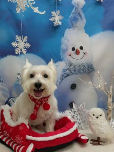 20251201_173529_copy_1874x2500