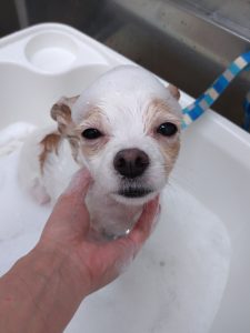 20251201_175915_copy_2112x2816